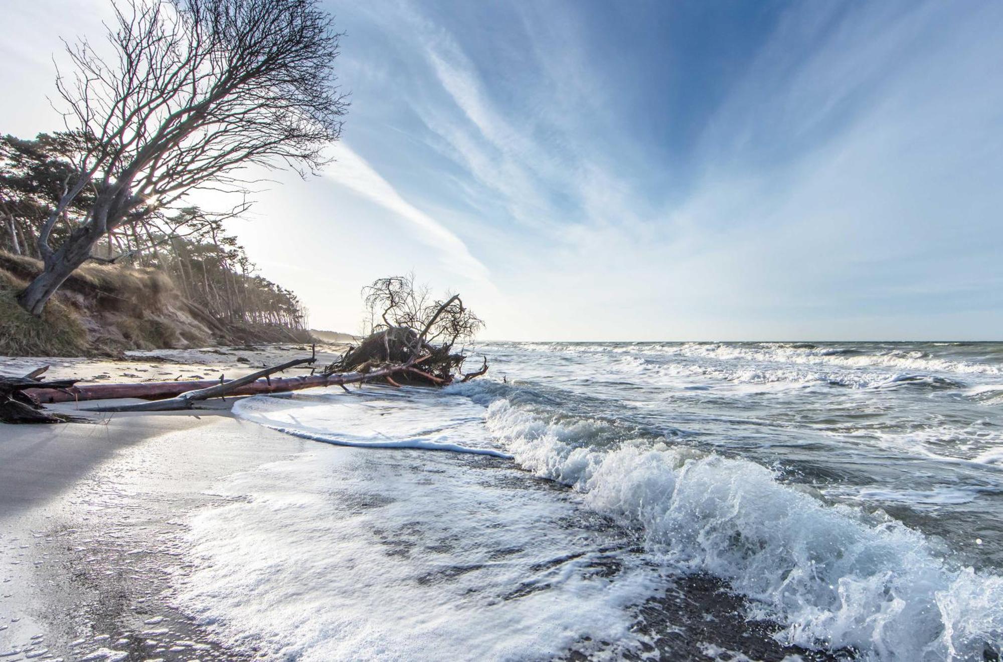 Kranichtanz An Der Seebruecke Zingst Bagian luar foto